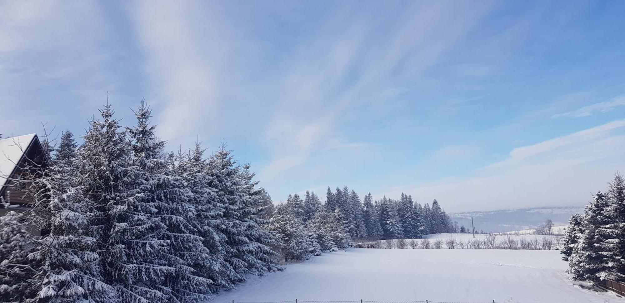 Apartamenty Pod Limba Zakopane Kültér fotó