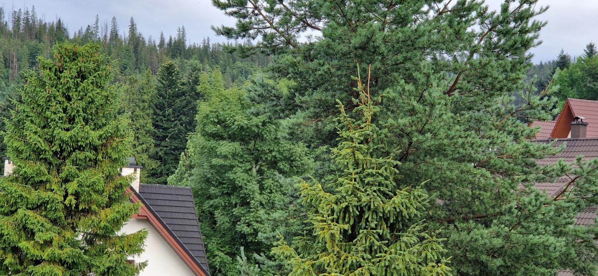 Apartamenty Pod Limba Zakopane Kültér fotó